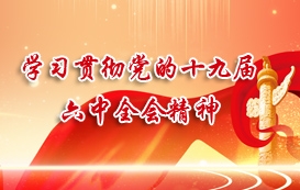 开云体育网址最新